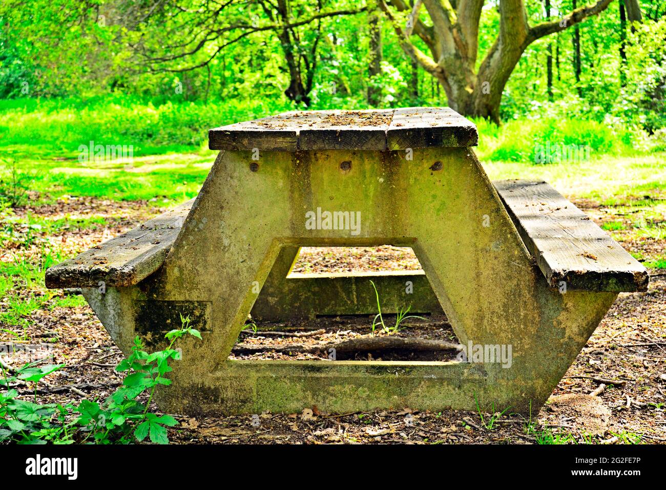 Side view of picnic bench Stock Photo Alamy