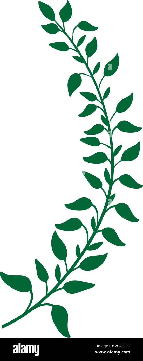 Leaf icon design template vector illustration Stock Vector Image & Art ...