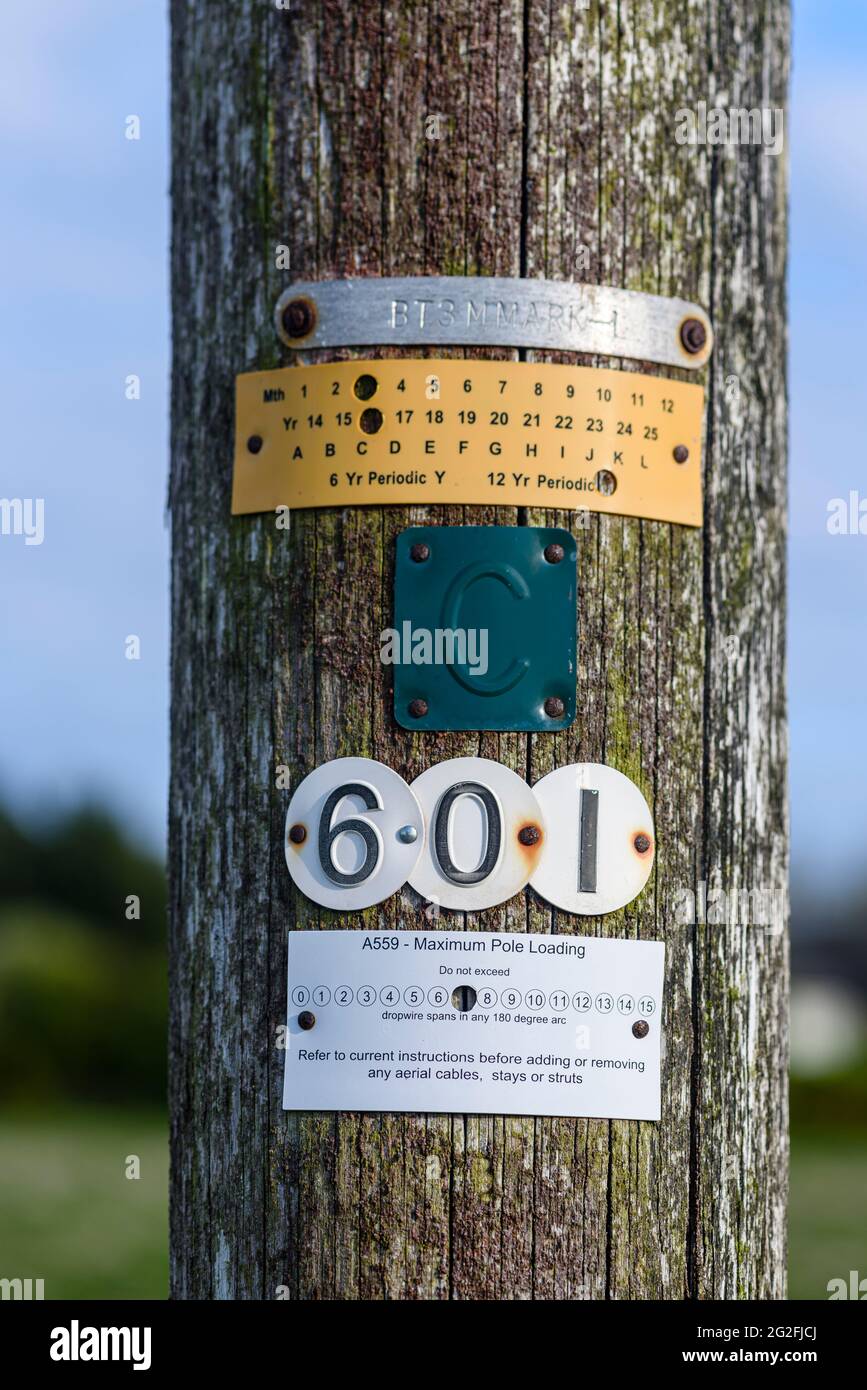 Metal and plastic safety plaques wooden telegraph pole, including an idenfication number, date of manufacture and maximum weight limits. Stock Photo