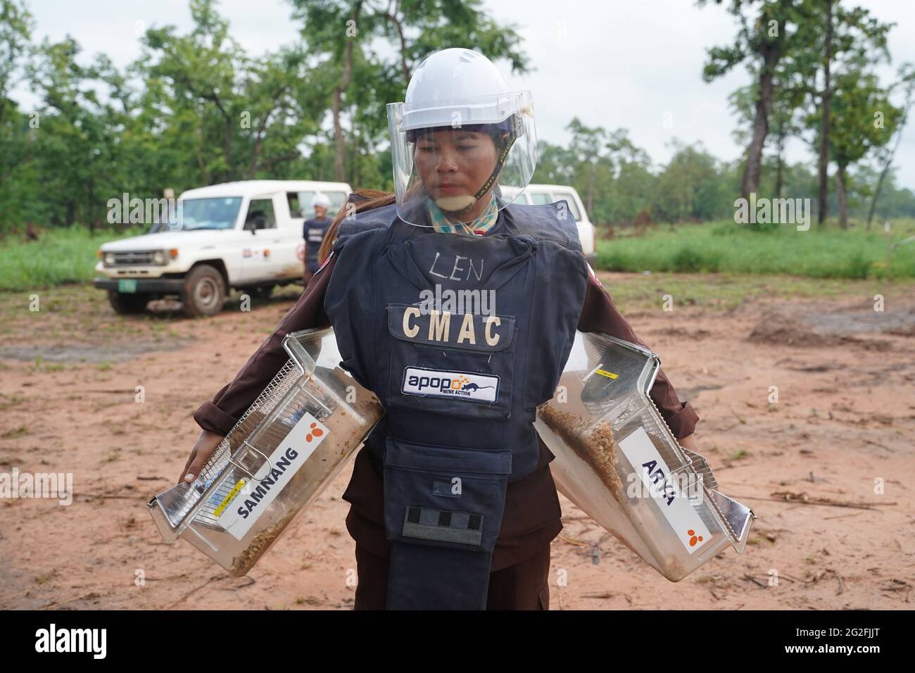 A handler carries mine detection rats in their transport cages to work in an area being demined in Preah Vihear province, Cambodia, June 11, 2021. Picture taken June 11, 2021. REUTERS/Cindy Liu Stock Photo