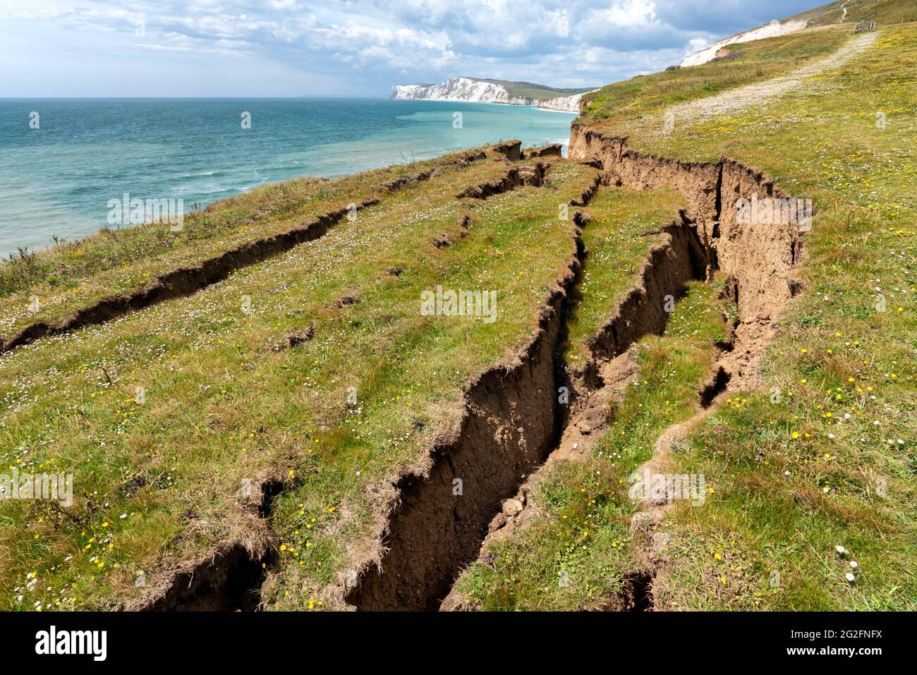 Slippage of Wealden cliffs on the south coast of the Isle of Wight in Hampshire UK Stock Photo