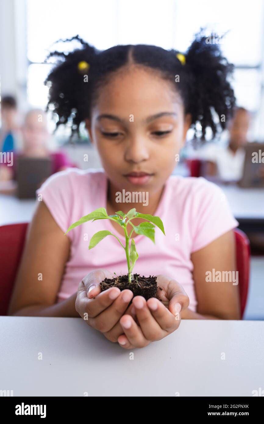 African american girl holding a plant seedling while sitting on her desk in class at school Stock Photo