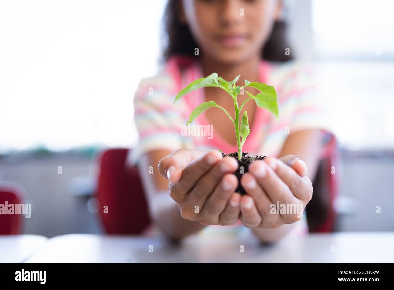 Mid section of girl holding a plant seedling while sitting on her desk in class at school Stock Photo