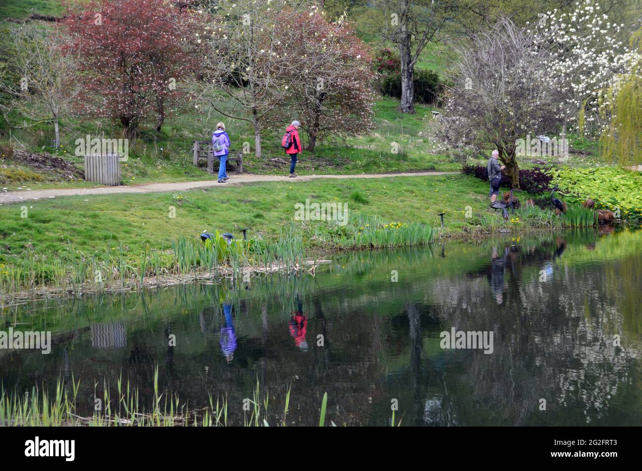 A Couple of Woman Walking by the Magnolia Lake, Himalayan Garden & Sculpture Park, Grewelthorpe, Ripon, North Yorkshire, UK. Stock Photo