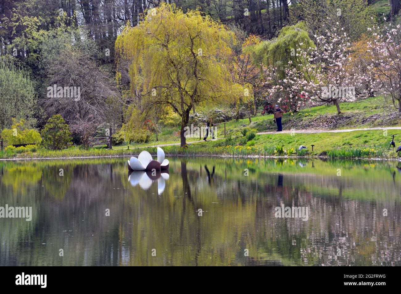Couple Walking by Floating Lily Sculpture Reflected in the Magnolia Lake, Himalayan Garden & Sculpture Park, Grewelthorpe, Ripon, North Yorkshire, UK. Stock Photo