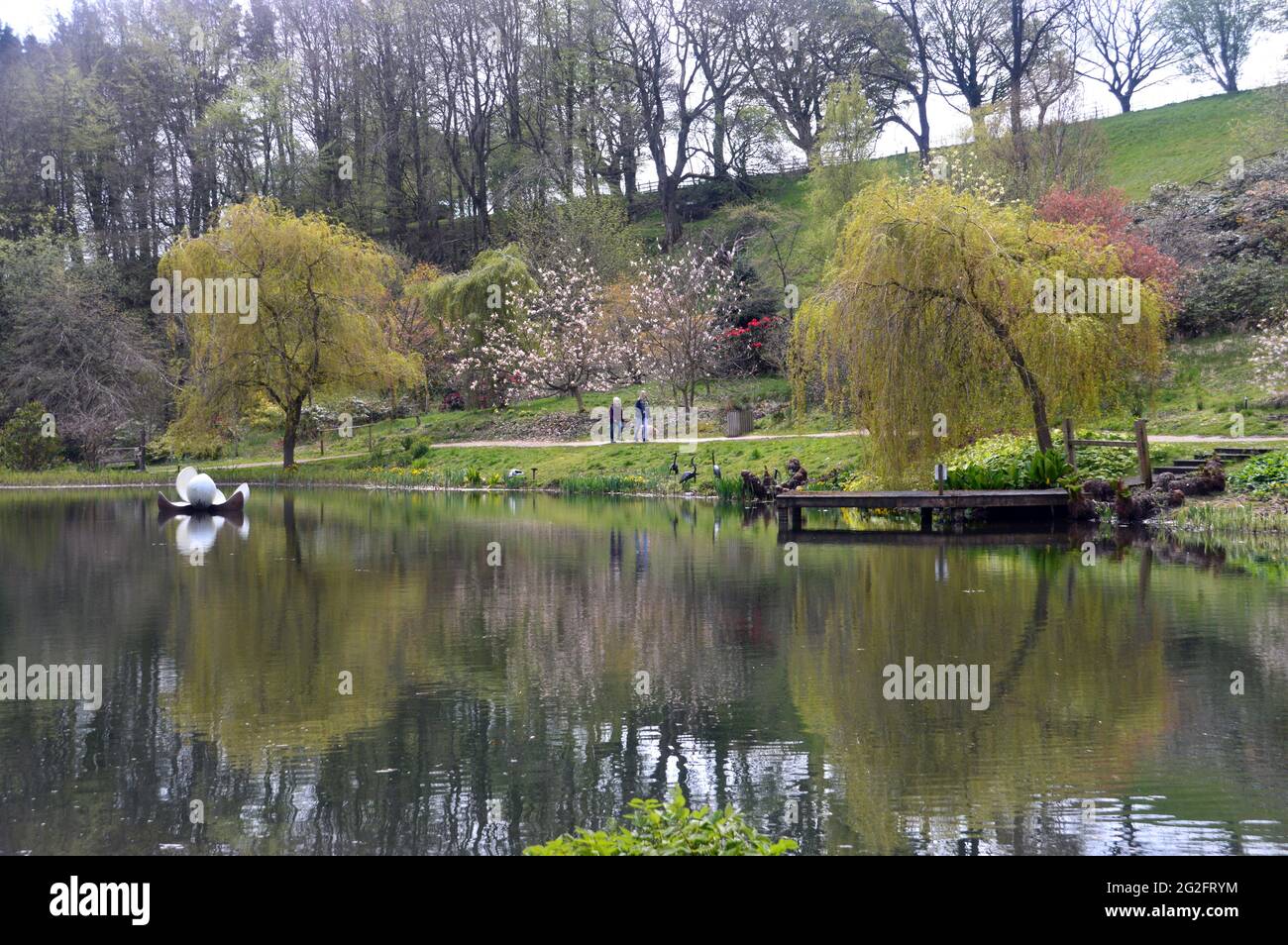 Couple Walking by Floating Lily Sculpture Reflected in the Magnolia Lake, Himalayan Garden & Sculpture Park, Grewelthorpe, Ripon, North Yorkshire, UK. Stock Photo