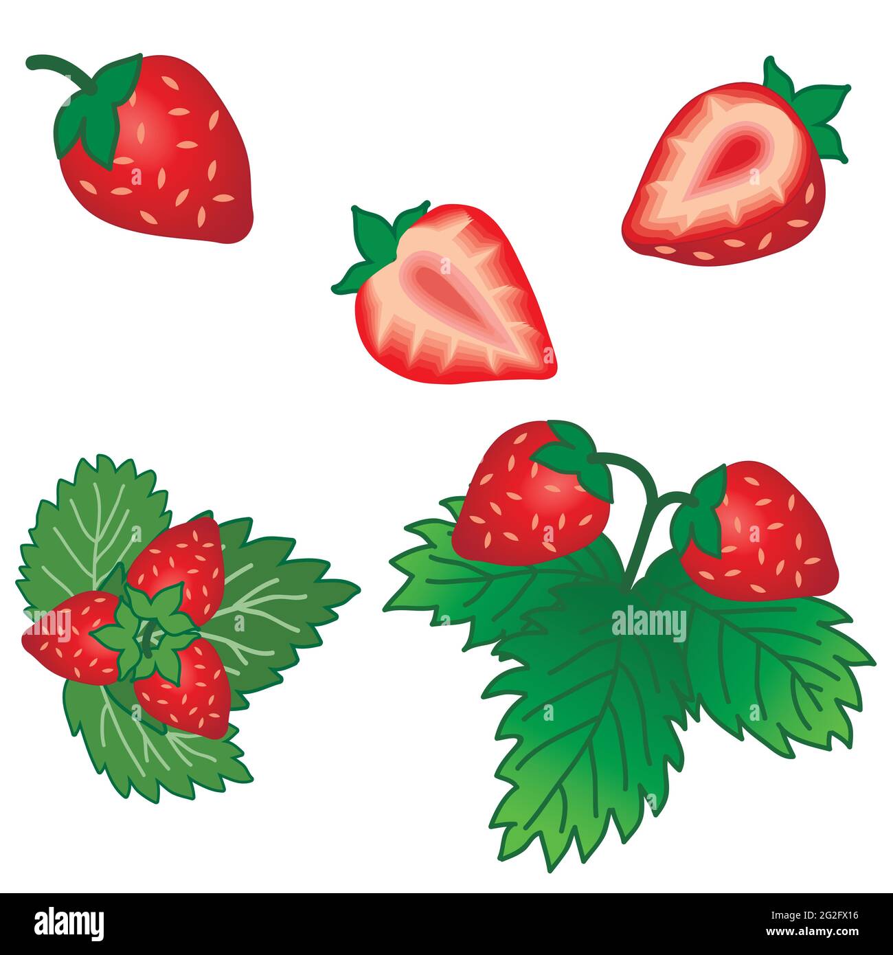 Set of strawberry fruits and green leaves isolated on white background. Vector illustration Stock Vector