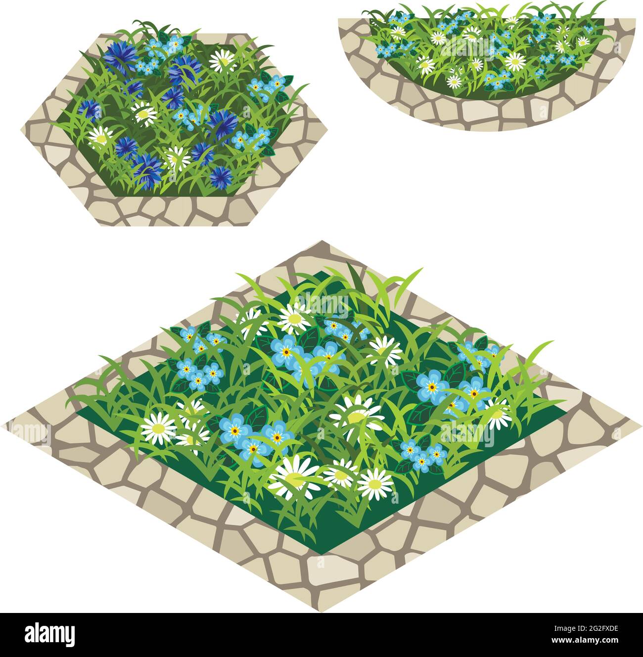 Set of flowers to create garden scene. Chamomiles, cornflowers and ...