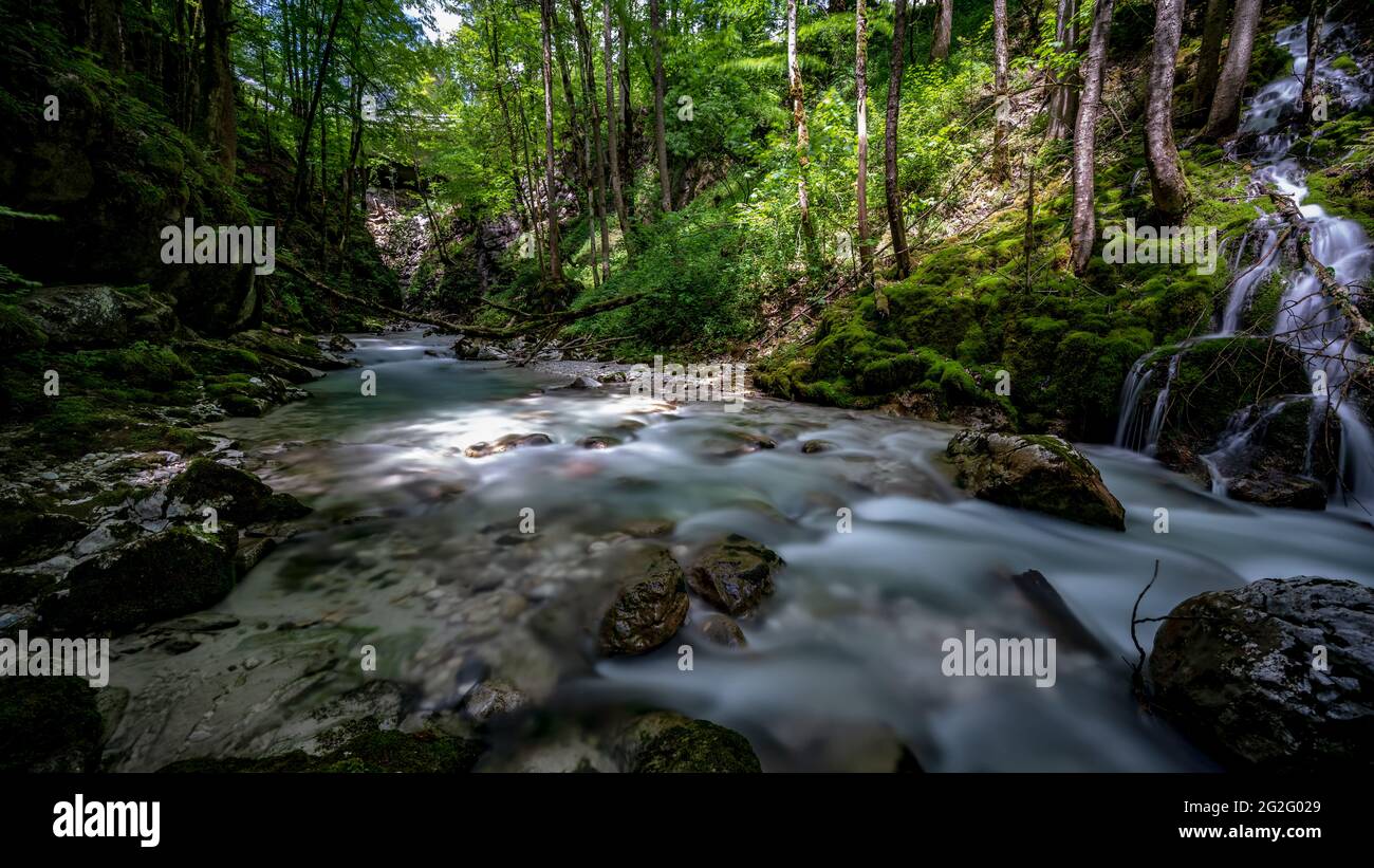 Erfrischung bei der Ramsauer Ache Stock Photo