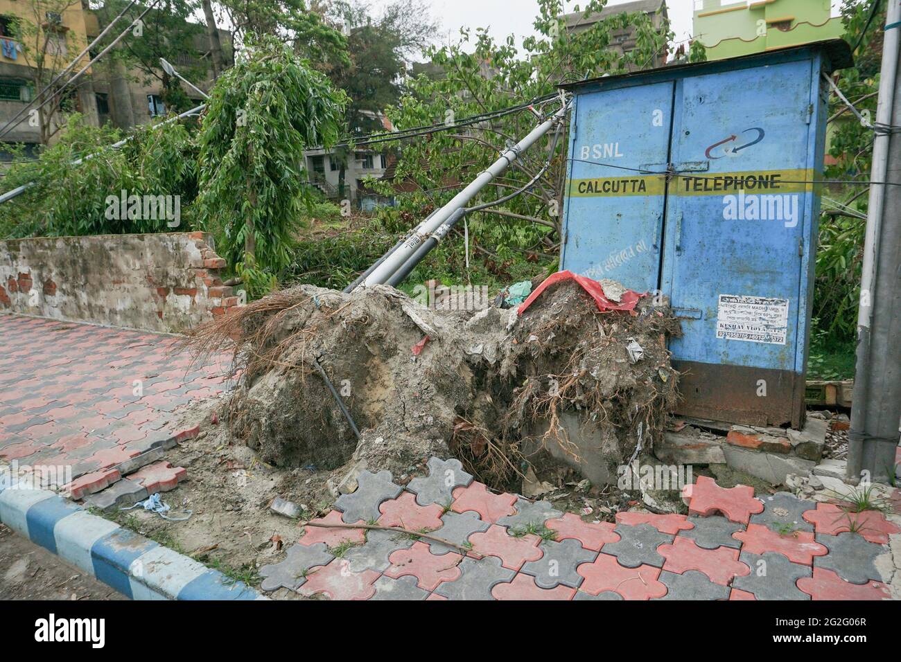 Howrah, West Bengal, India - 23rd May 2020 : Super cyclone Amphan uprooted tree. The force destroyed pavement, light post and a Telephone booth. The d Stock Photo