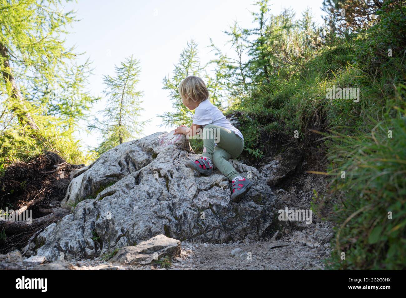 Toddler child climbing the rock on a hiking trail in beautiful green ...