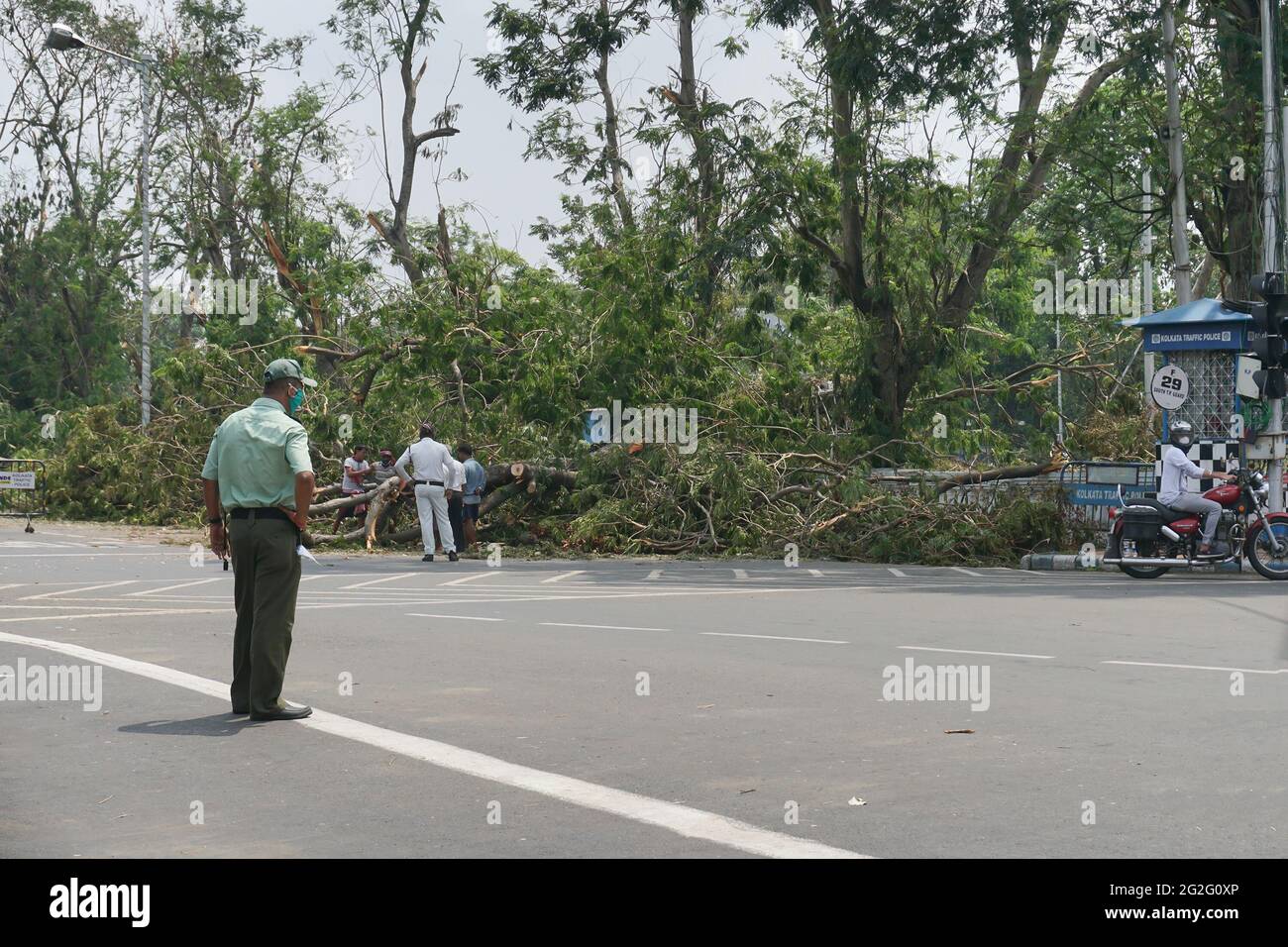 Kolkata, West Bengal, India - 22nd May 2020 : Goverment Officials supervising removal of uprooted tree which fell and blocked road partially, caused b Stock Photo