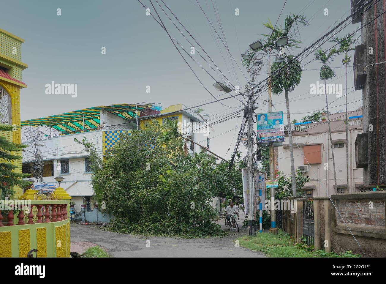 Howrah, West Bengal, India - 21st May 2020 : Super cyclone Amphan uprooted tree which fell and blocked road. The devastation has made many trees fall Stock Photo
