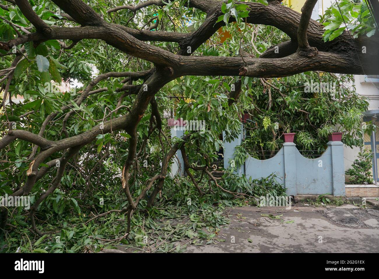 Howrah, West Bengal, India - 21st May 2020 : Super cyclone Amphan ...