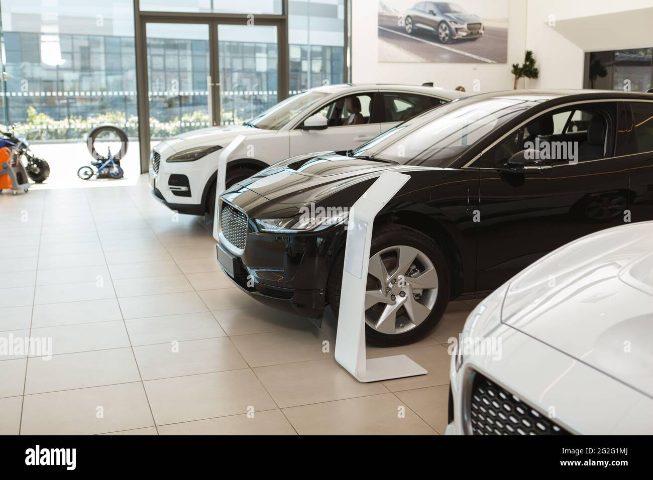 Elegant luxury cars for sale at dealership salon Stock Photo Alamy