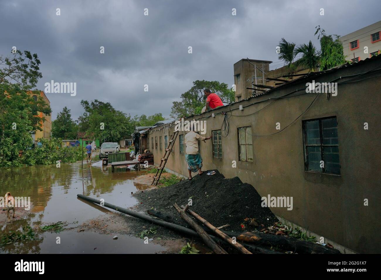 Howrah, West Bengal, India - 21st May 2020 : Super cyclone Amphan uprooted tree which fell on roof and severly damaged it. Stock Photo