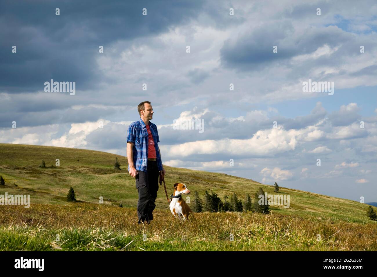 Man and dog look together into the valley, Feldberg, Black Forest, Baden-Württemberg, Germany Stock Photo