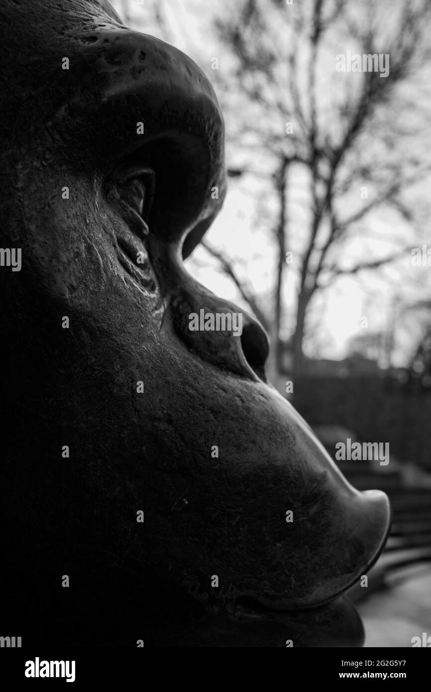 Ape Head sculpture - Black and white Stock Photo
