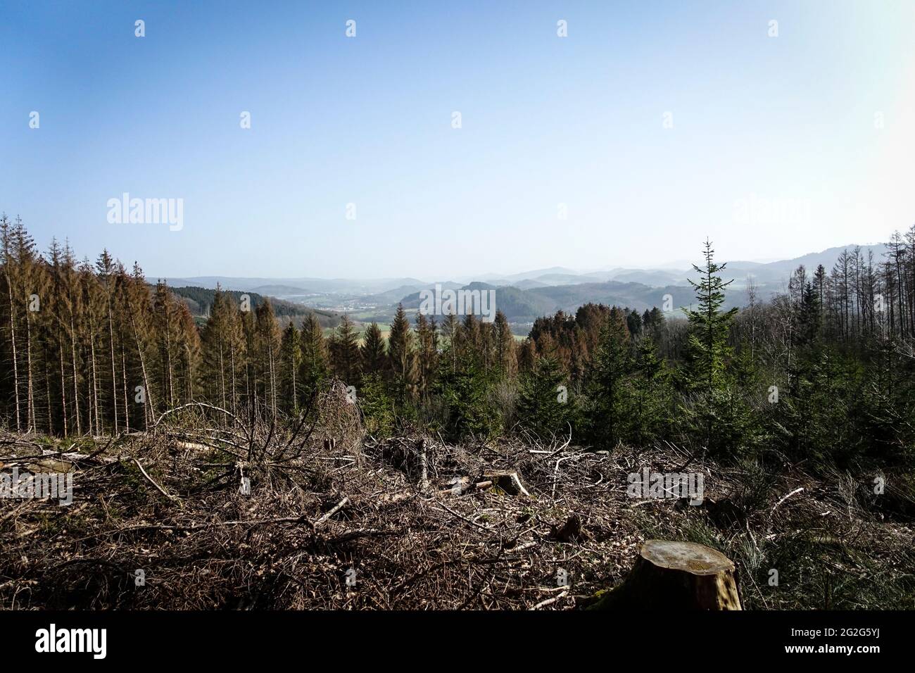 View of the Hochsauerland over clear cutting Stock Photo