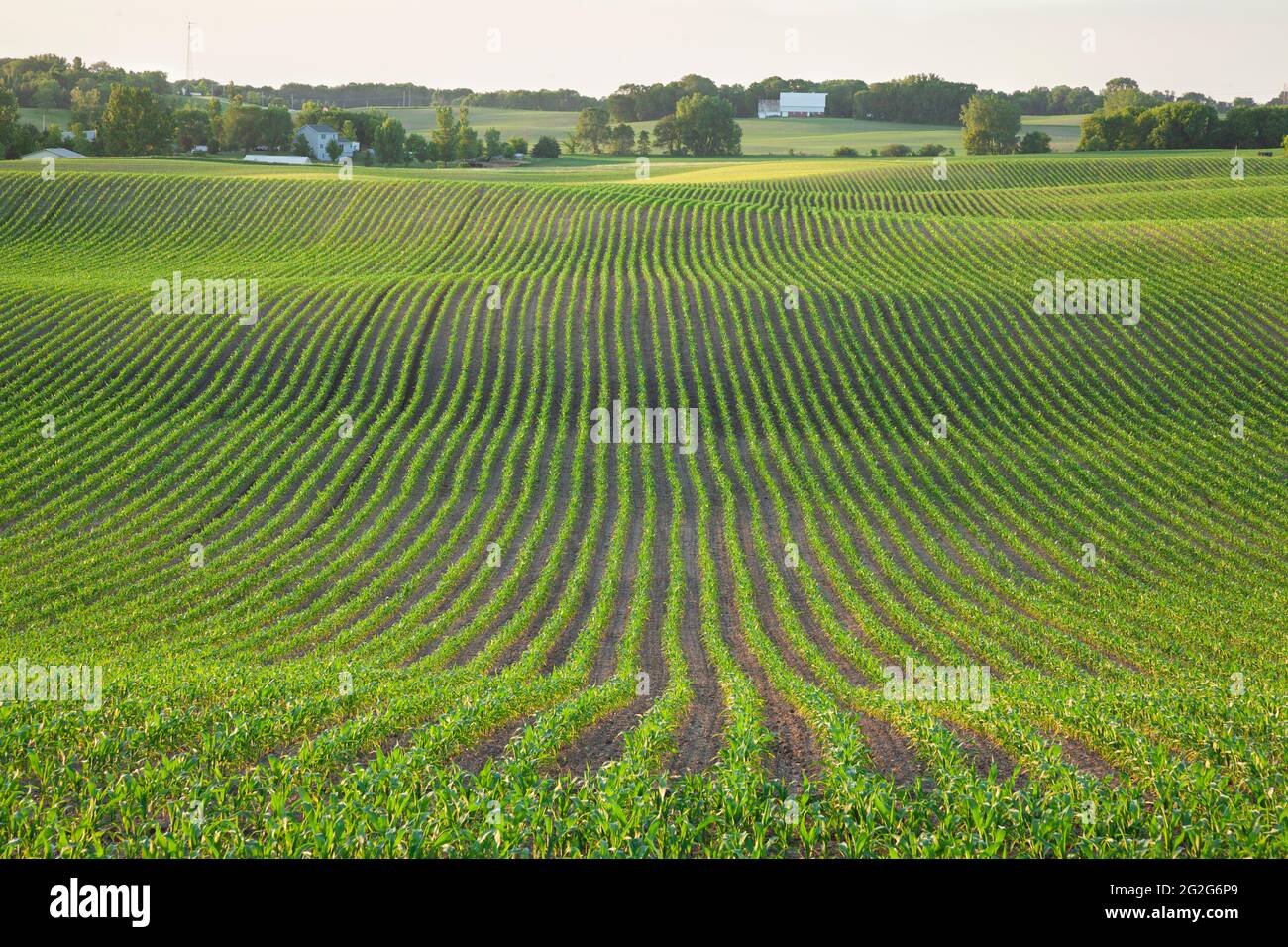 House in a corn farm hires stock photography and images Alamy