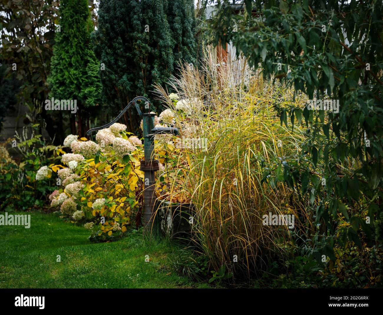 Autumn impression of a perennial garden Stock Photo