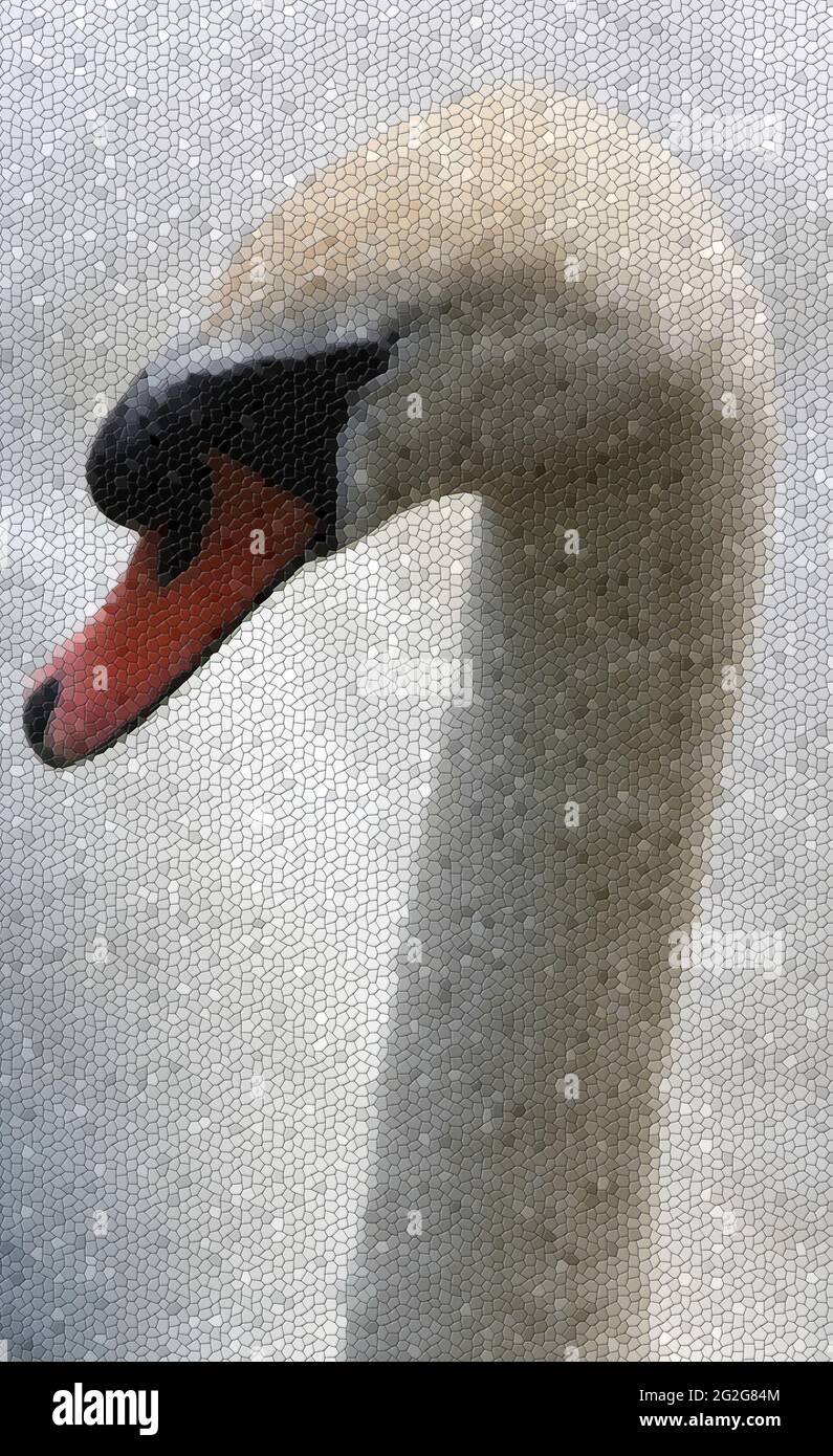 Elegant white swan portrait. Mixed media portrait of swan turned into a mosaic.Abstract swan mosaic. Animal artwork. Stock Photo