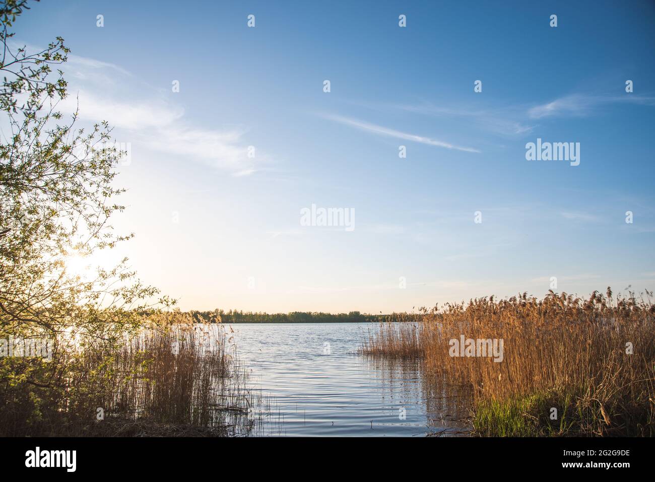 Green bank of a lake. Saturated colors. Stock Photo