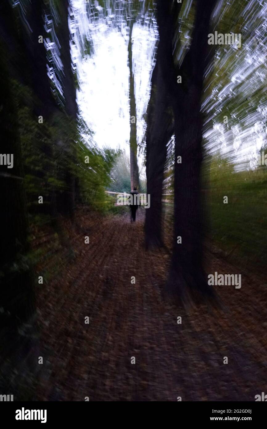 Germany, Bavaria, Upper Bavaria, Altötting district, Altötting, city park, Im Gries, dusk, gloomy, one person, woman, 25-30 years, zoomed Stock Photo