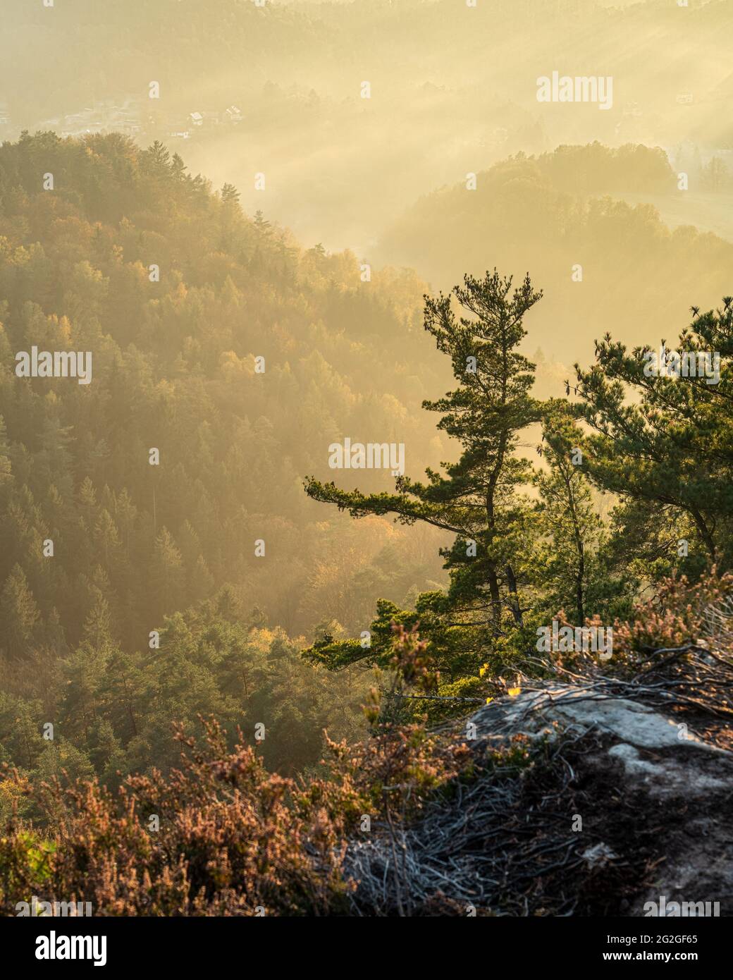 Foggy sunrise in the Elbe Valley of the autumnal Elbe Sandstone Mountains. Stock Photo