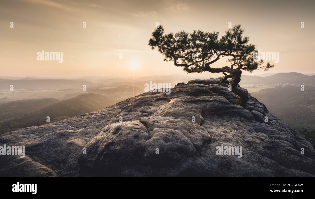 Autumn sunrise behind the Wetterkiefer on the Lilienstein in the Elbe Sandstone Mountains. Stock Photo