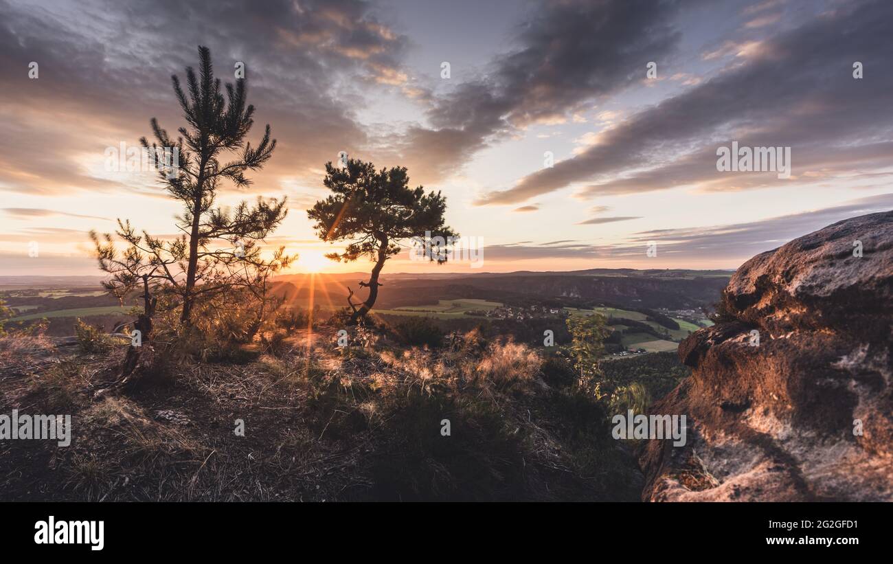 Small pine at sunset with a view from Lilienstein in the Elbe Sandstone Mountains towards Dresden. Stock Photo