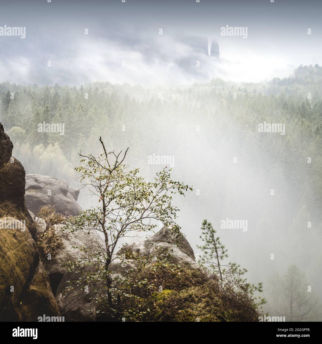 View from the small winter mountain to the misty Bloßstock in the autumnal Elbe Sandstone Mountains. Stock Photo