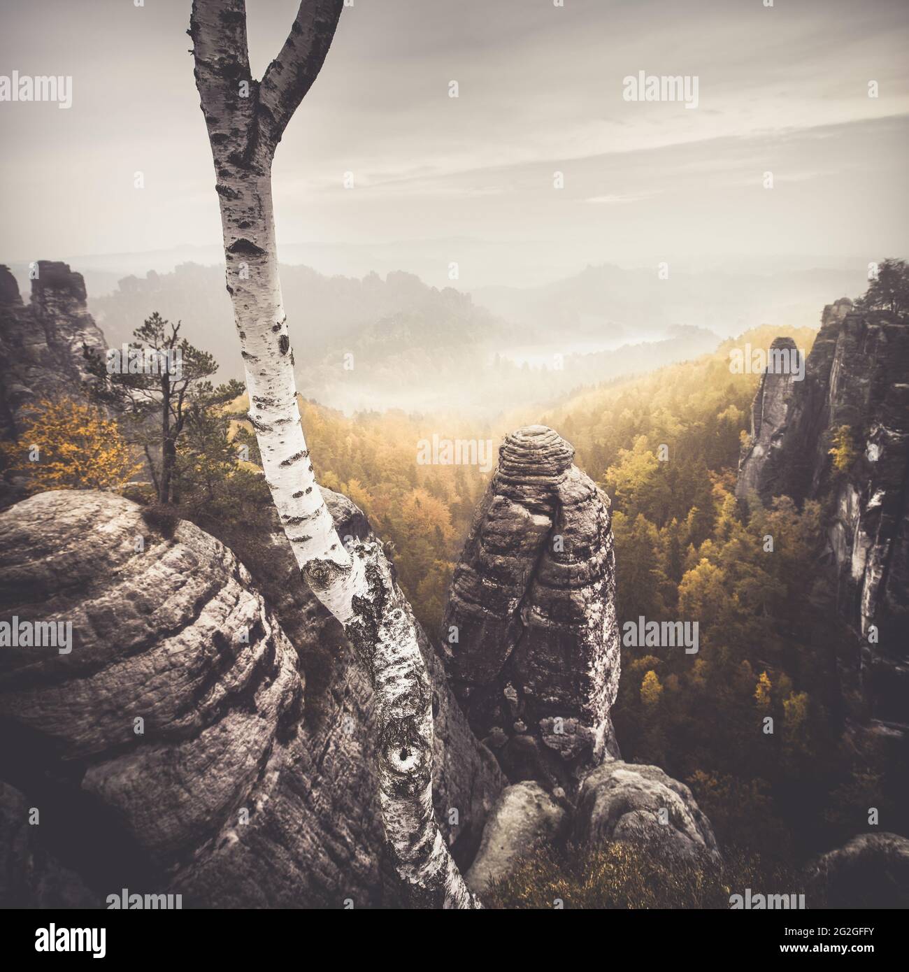View from the Bastei into the autumnal Elbe Valley of the Elbe Sandstone Mountains Stock Photo