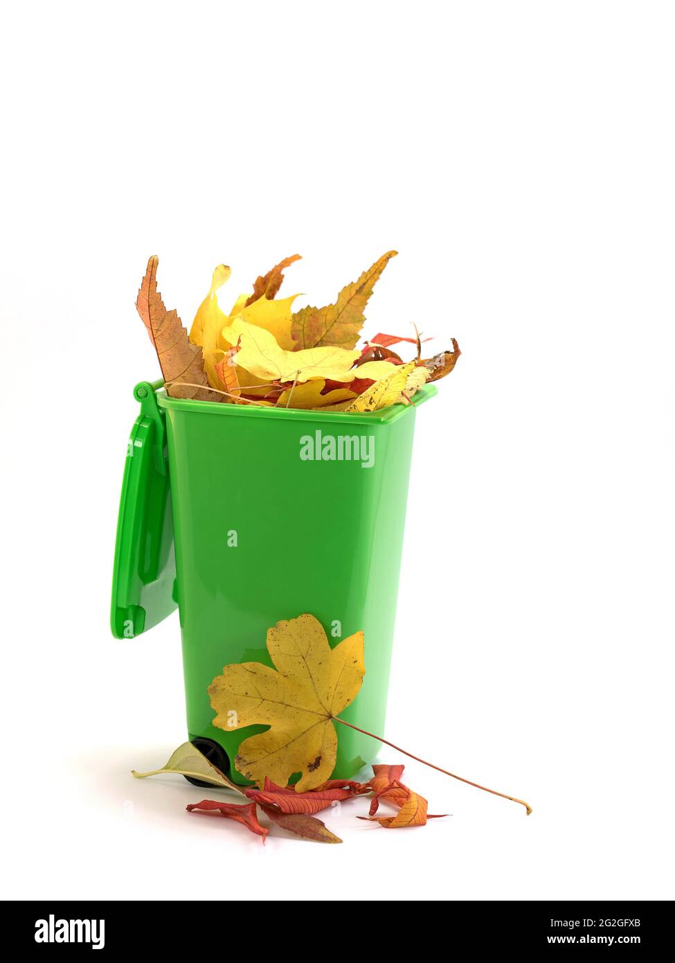 Garbage bin filled with leaves against white background Stock Photo