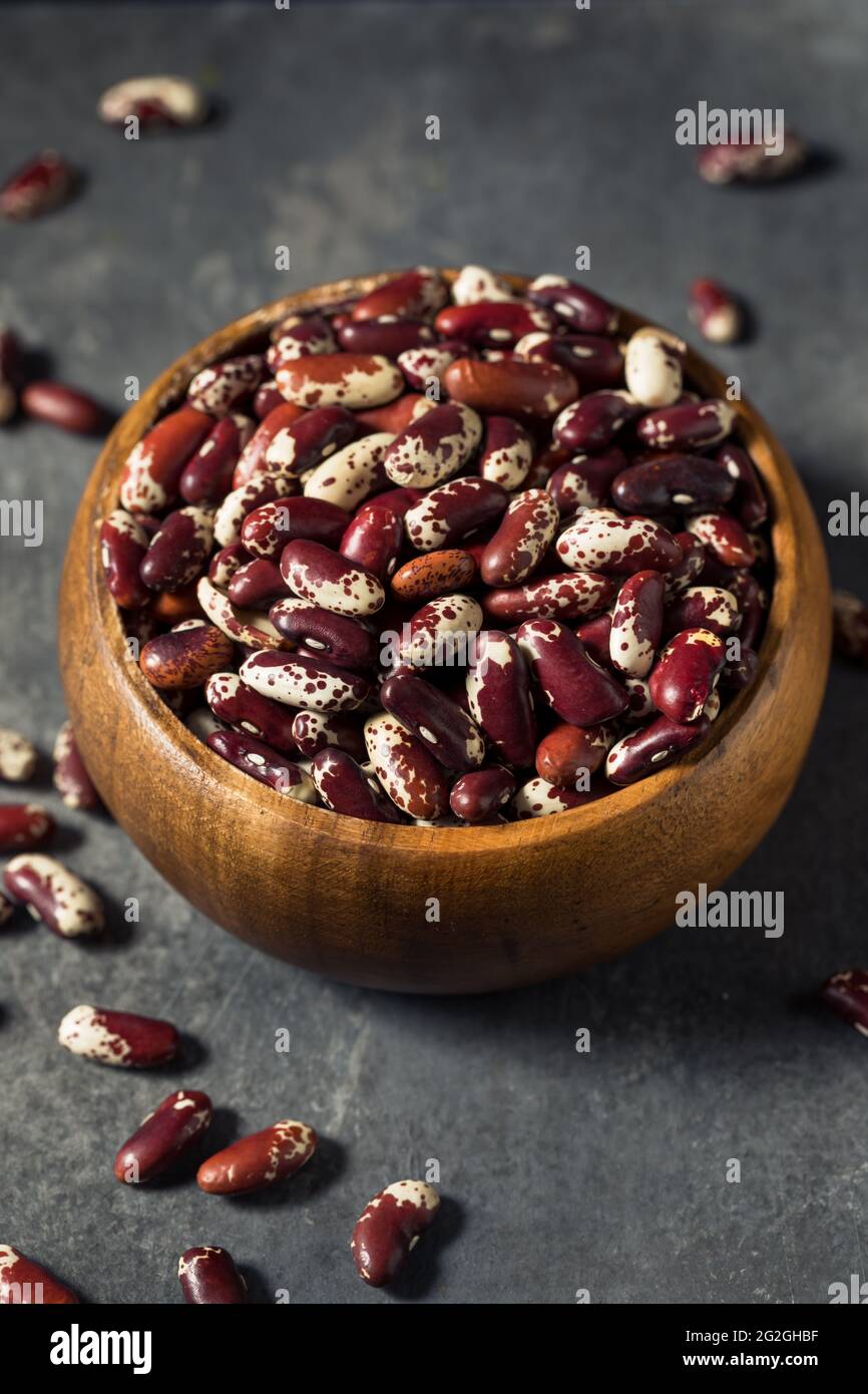 Raw Red Organic Cattle Kidney Beans in a Bowl Stock Photo