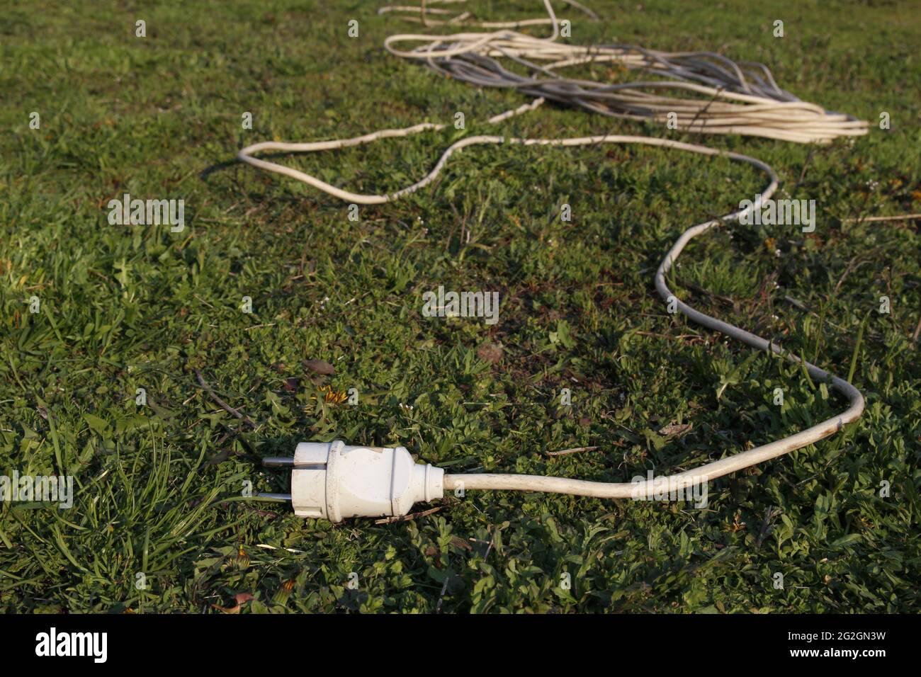 Garden electrical extension cord lies on green grass. Stock Photo
