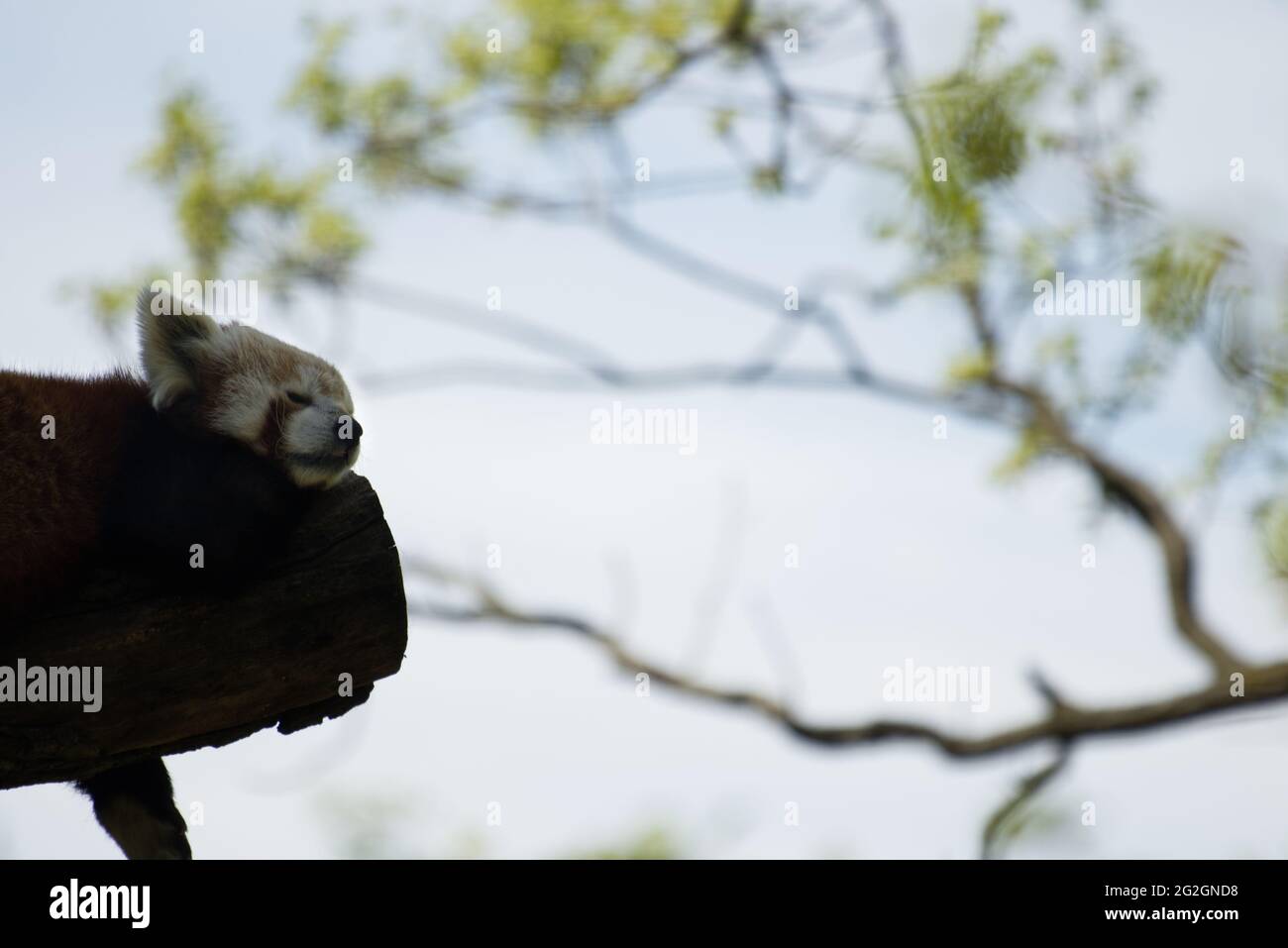 Allures High Resolution Stock Photography And Images Alamy