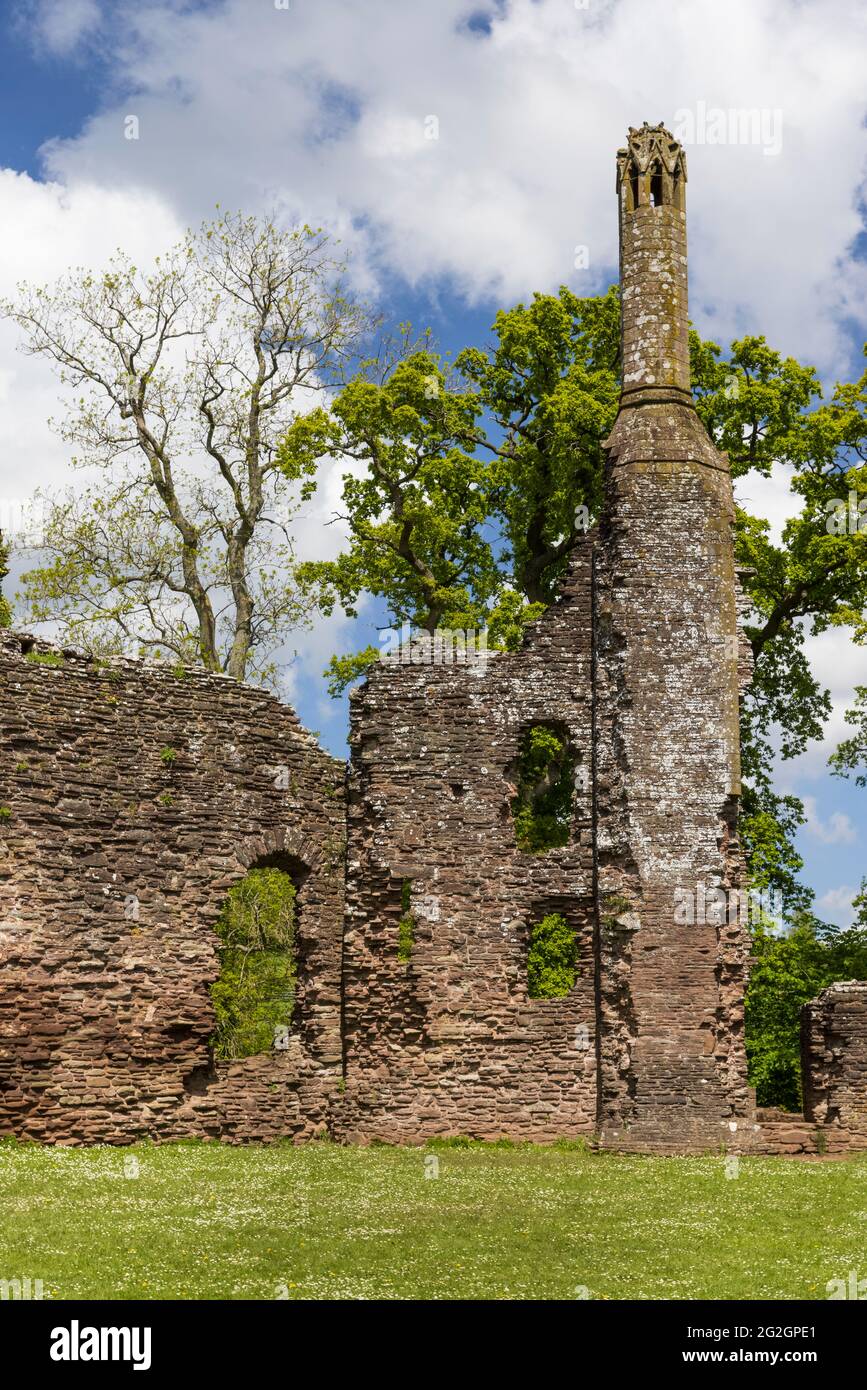 Grosmont Castle, Monmouthshire, Wales, UK Stock Photo