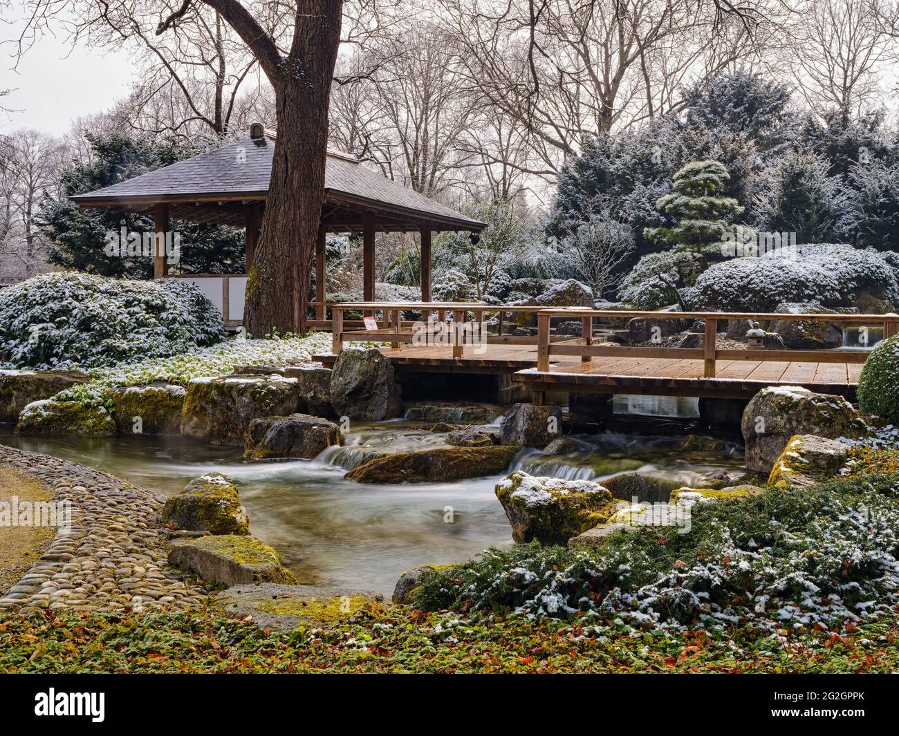 Winter in the Japanese Garden, Augsburg Botanical Garden Stock Photo - Alamy