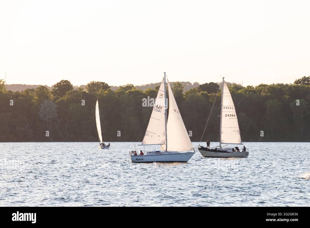 HAMILTON, Ontario, Canada - June 2021: Three sailboats are sailing in the Hamilton harbour at sunset. Stock Photo