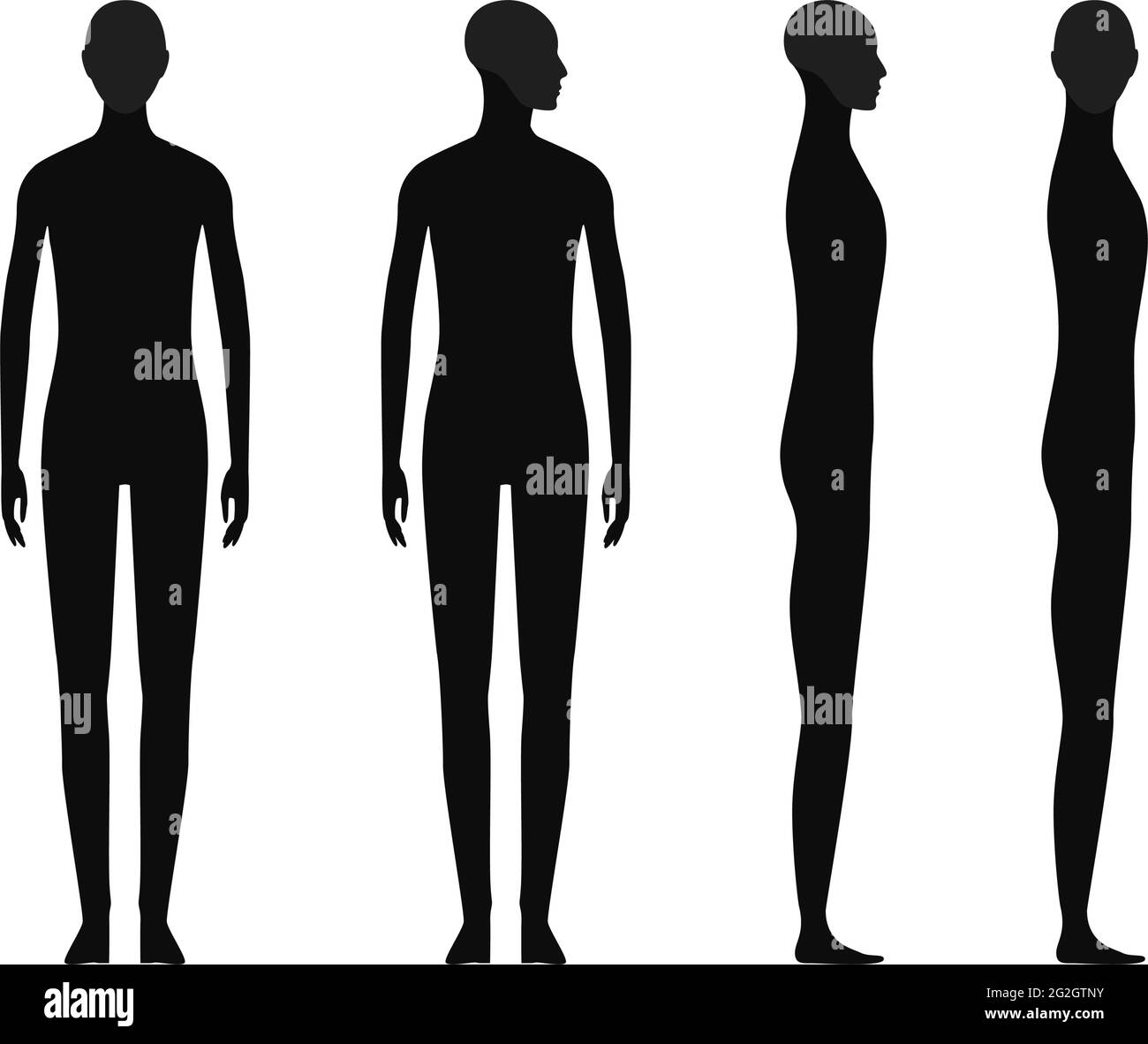 Human body silhouette of a gender neutral person with a highlighted skull  and chin area Stock Vector Image & Art - Alamy