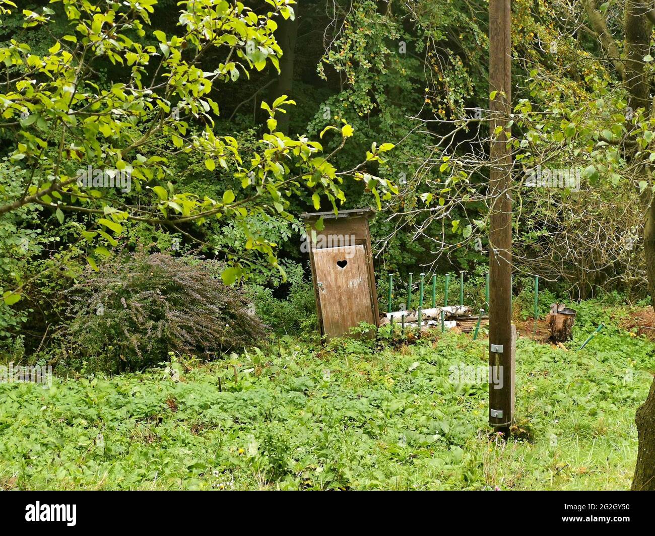 An old toilet in the middle of the forest. Stock Photo
