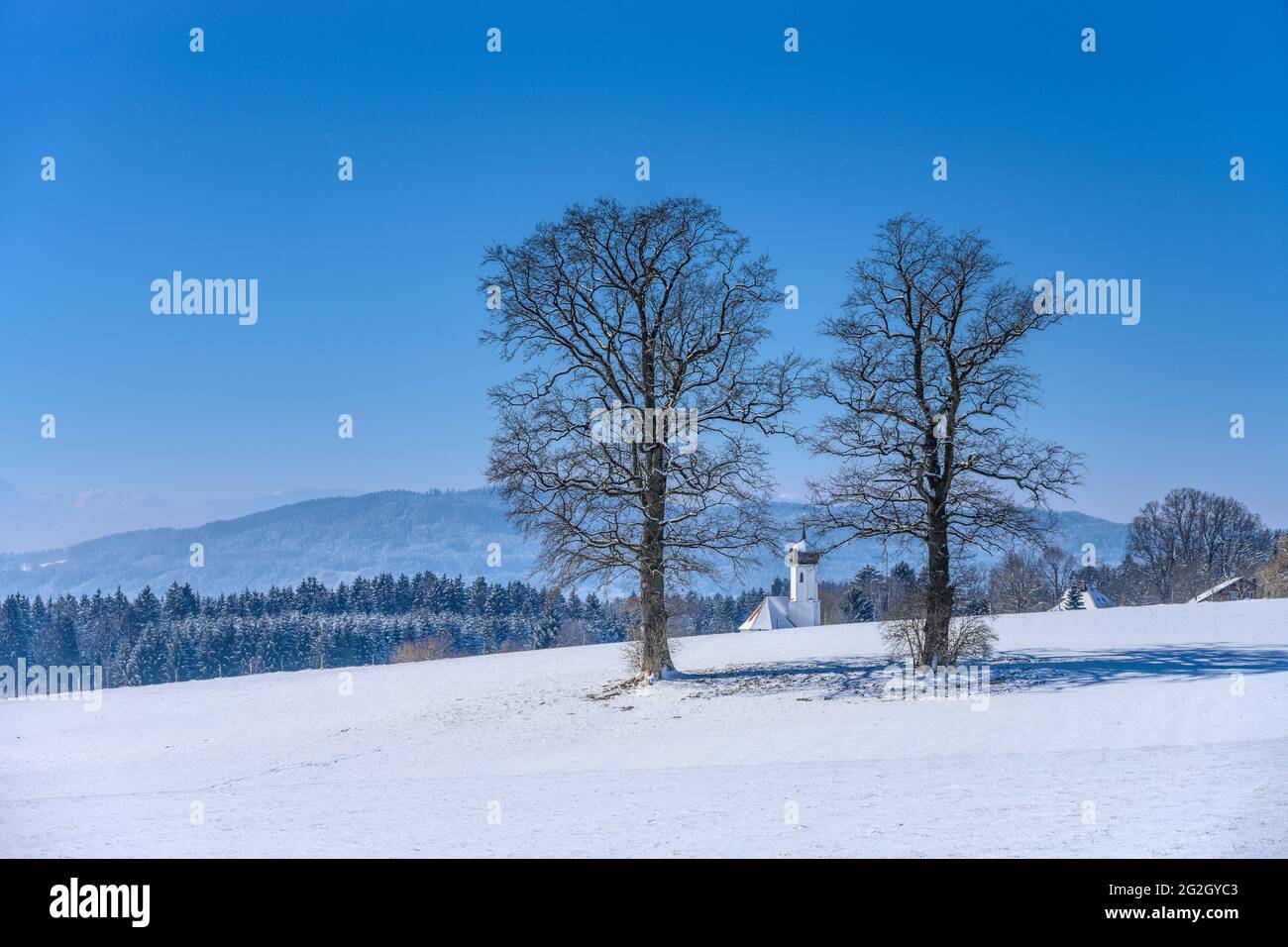Germany, Bavaria, Upper Bavaria, Pfaffenwinkel, Penzberg, district Sankt Johannisrain, winter landscape with church Sankt Johannisrain Stock Photo