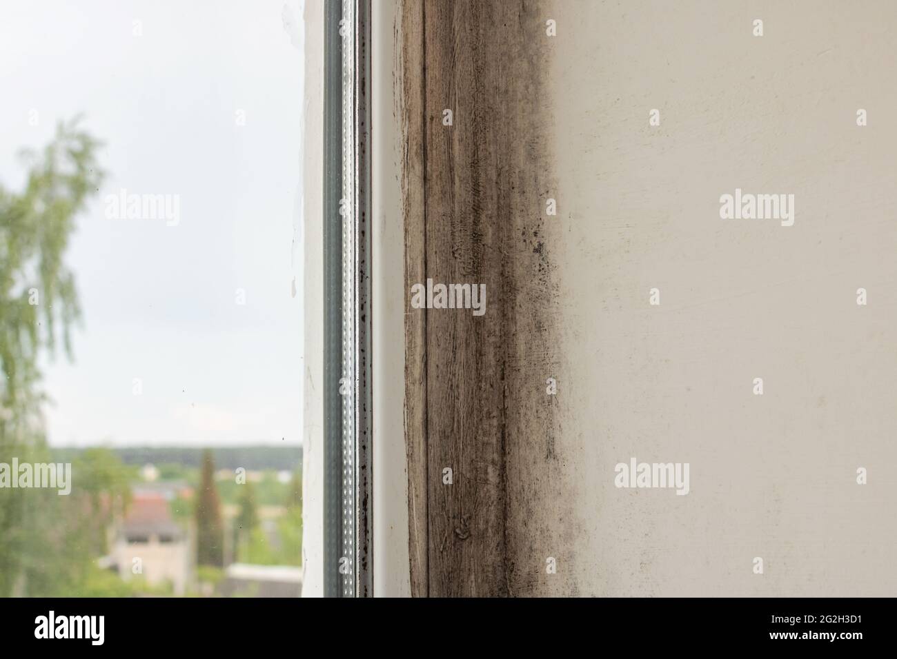 Black mold on the window frame close up Stock Photo Alamy