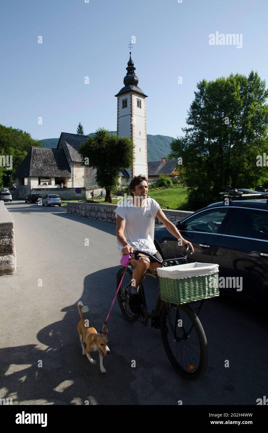 Cyclist Exercising Dog over Stone Bridge Lake Bohinj Slovenia Stock Photo