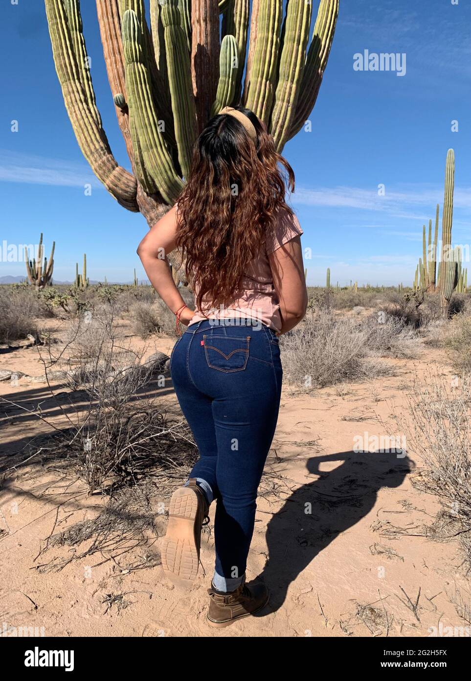 A woman named Abril Ross poses among the cardones, cacti, saguaros,  Pachycereus (Photo by Norte Photo) trasero bonito. nice butt gluteos,  buttocks Stock Photo - Alamy