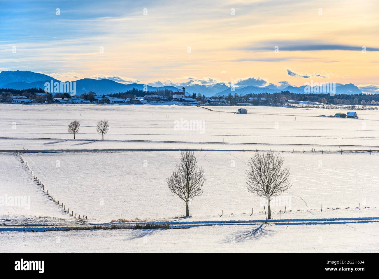Germany, Bavaria, Upper Bavaria, Tölzer Land, Dietramszell, district Lochen, winter landscape against alpine chain Stock Photo
