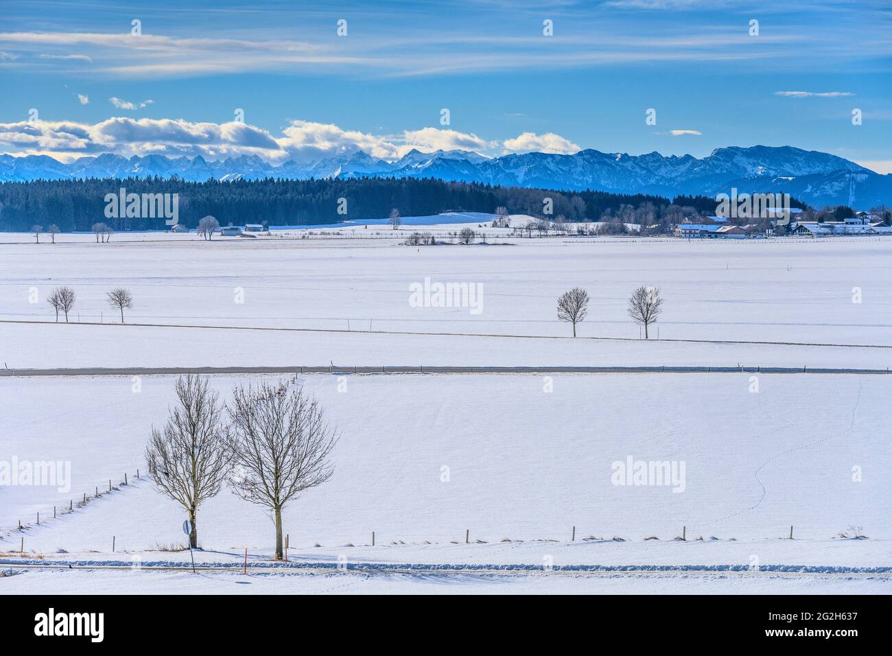 Germany, Bavaria, Upper Bavaria, Tölzer Land, Dietramszell, district Lochen, winter landscape against alpine chain Stock Photo