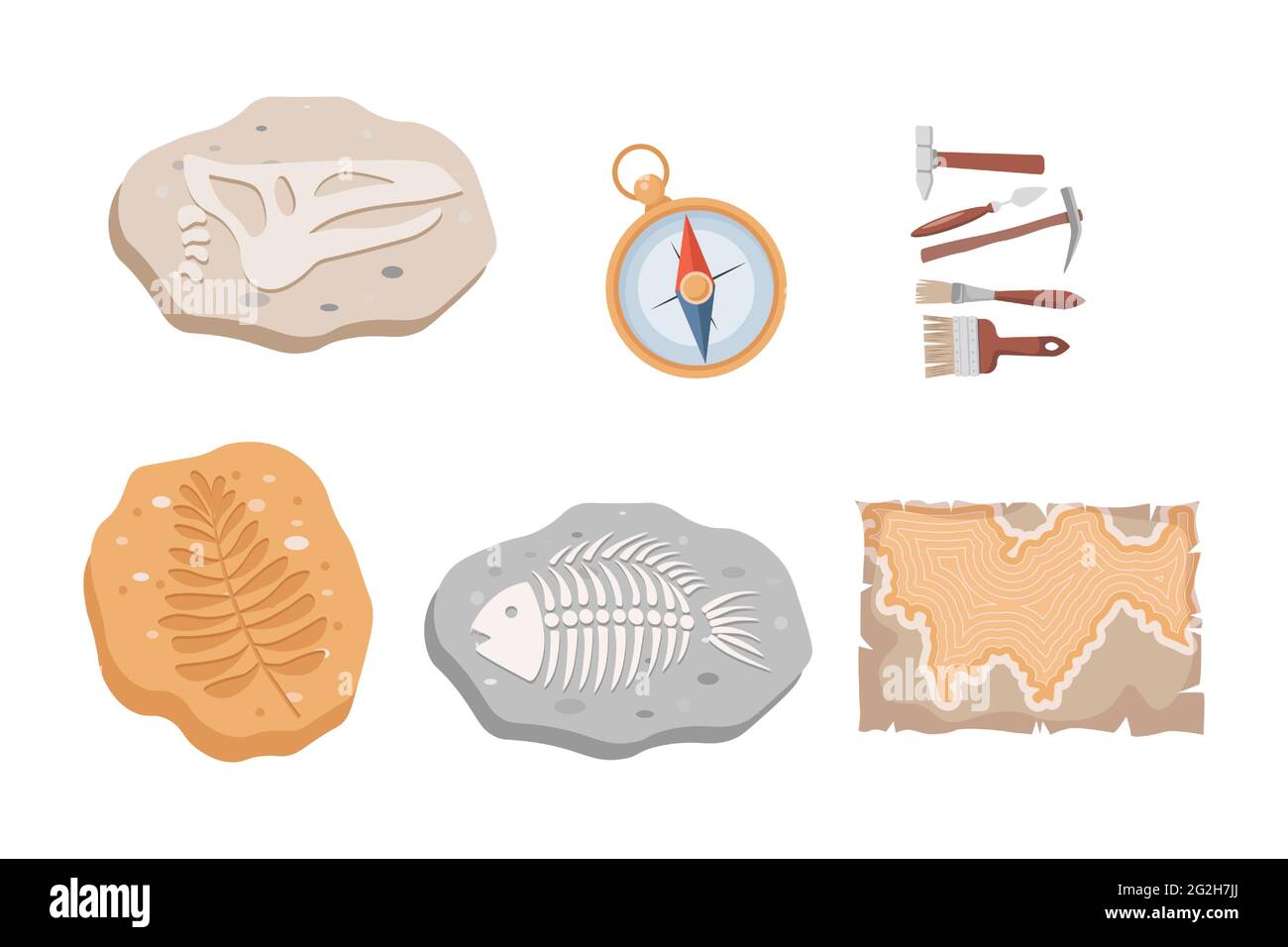 Fossil fish and dinosaurs skeletons and plants, compass, map, and