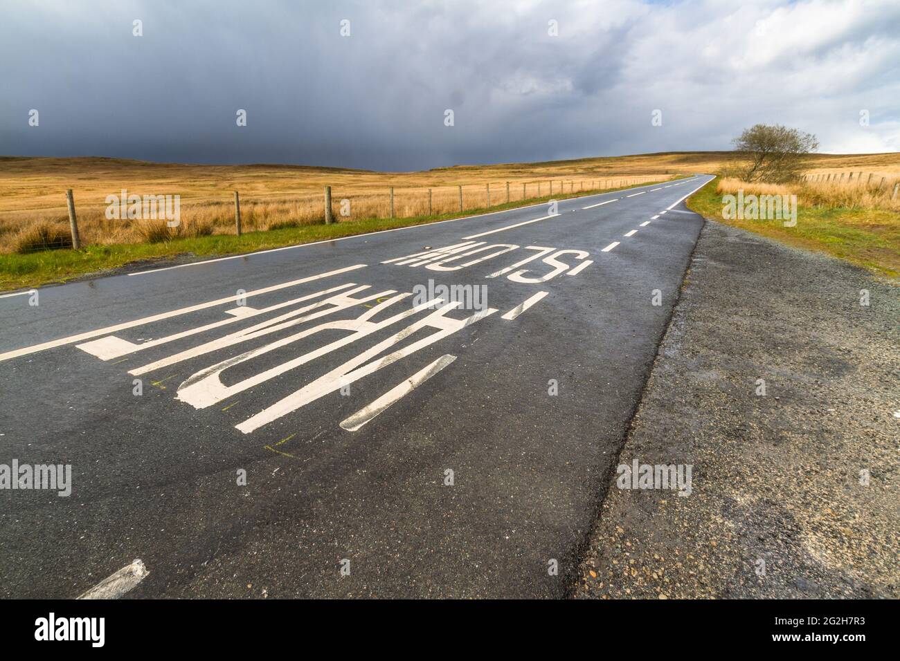North of Pentrefoelas, North Wales, The A543 Road across grassy moor, part of the infamous EVO Triangle for racing vehicles, landscape, wide angle. Stock Photo